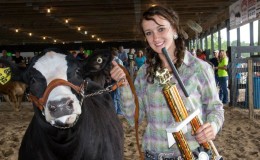Kara Hughston – Grand Champion Market Beef Steer